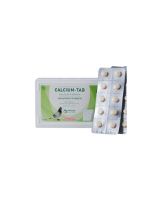 CALCIUM TAB PANTEX 100 PASTILLAS