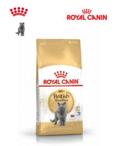 royal canin comida pienso para gato British Shorthair Adult  2 kg 