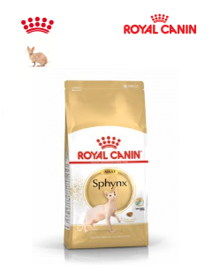 comida royal canin pienso para gato Sphynx adult seco 2 kg 