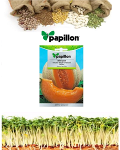 Semillas Melon Cantalupo (3 Gramos)