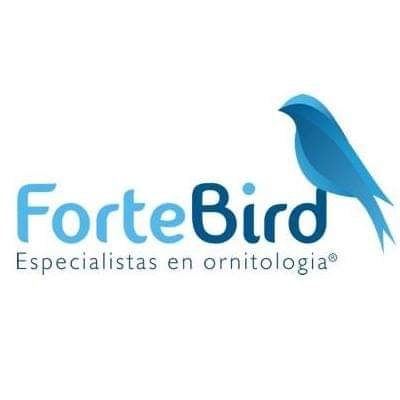 FORTEBIRD