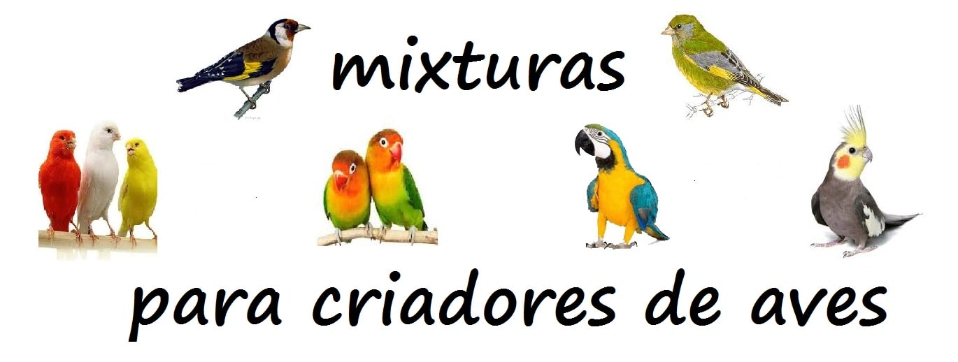 MIXTURAS PARA CRIADORES MIXTURAS PARA CRIADORES