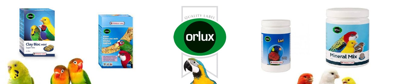  ORLUX   