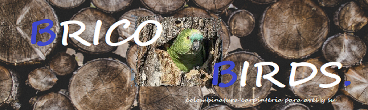 PRODUCTOS  BRICO BIRDS 
