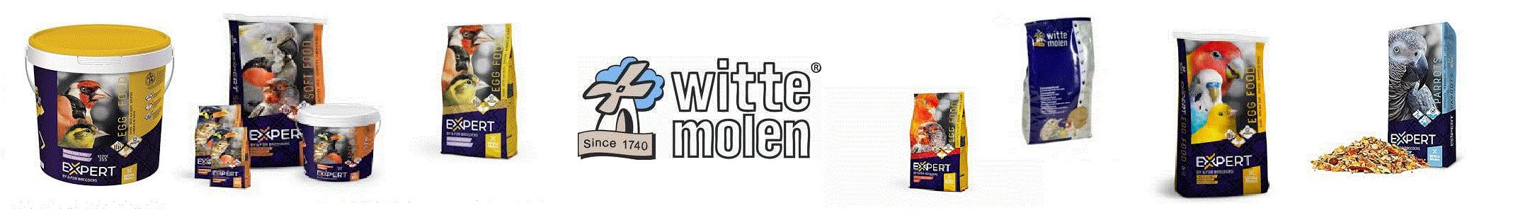  WHITTE MOLEN 