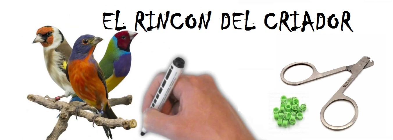 EL RINCON DEL CRIADOR