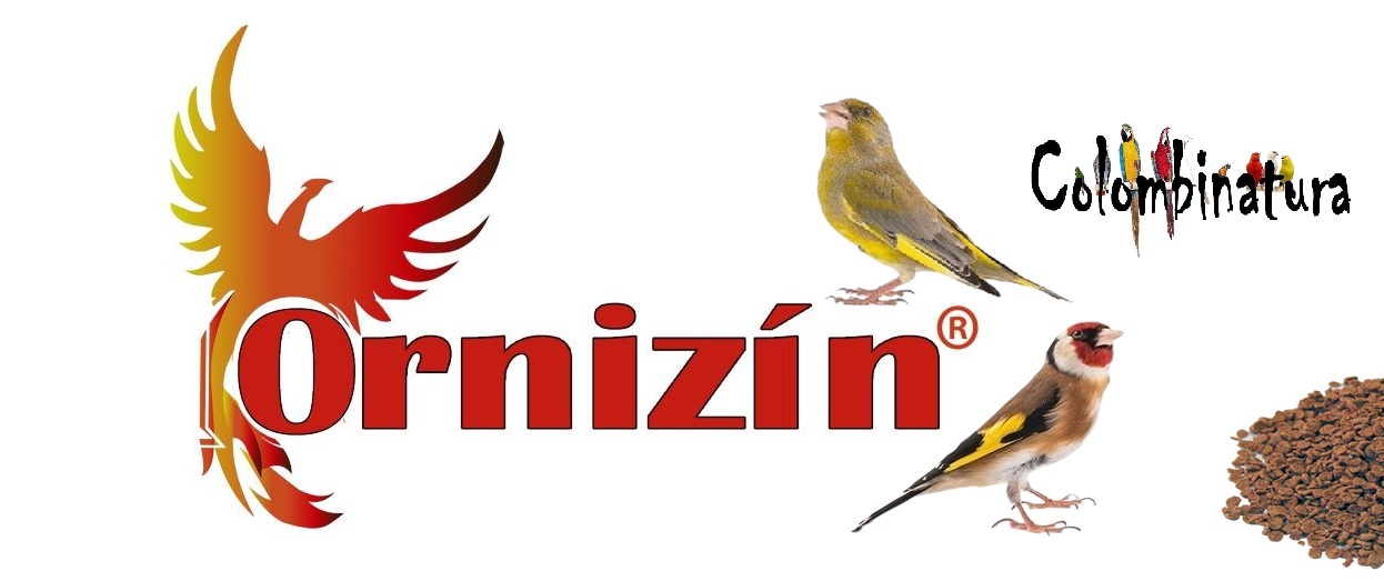 ORNIZIN